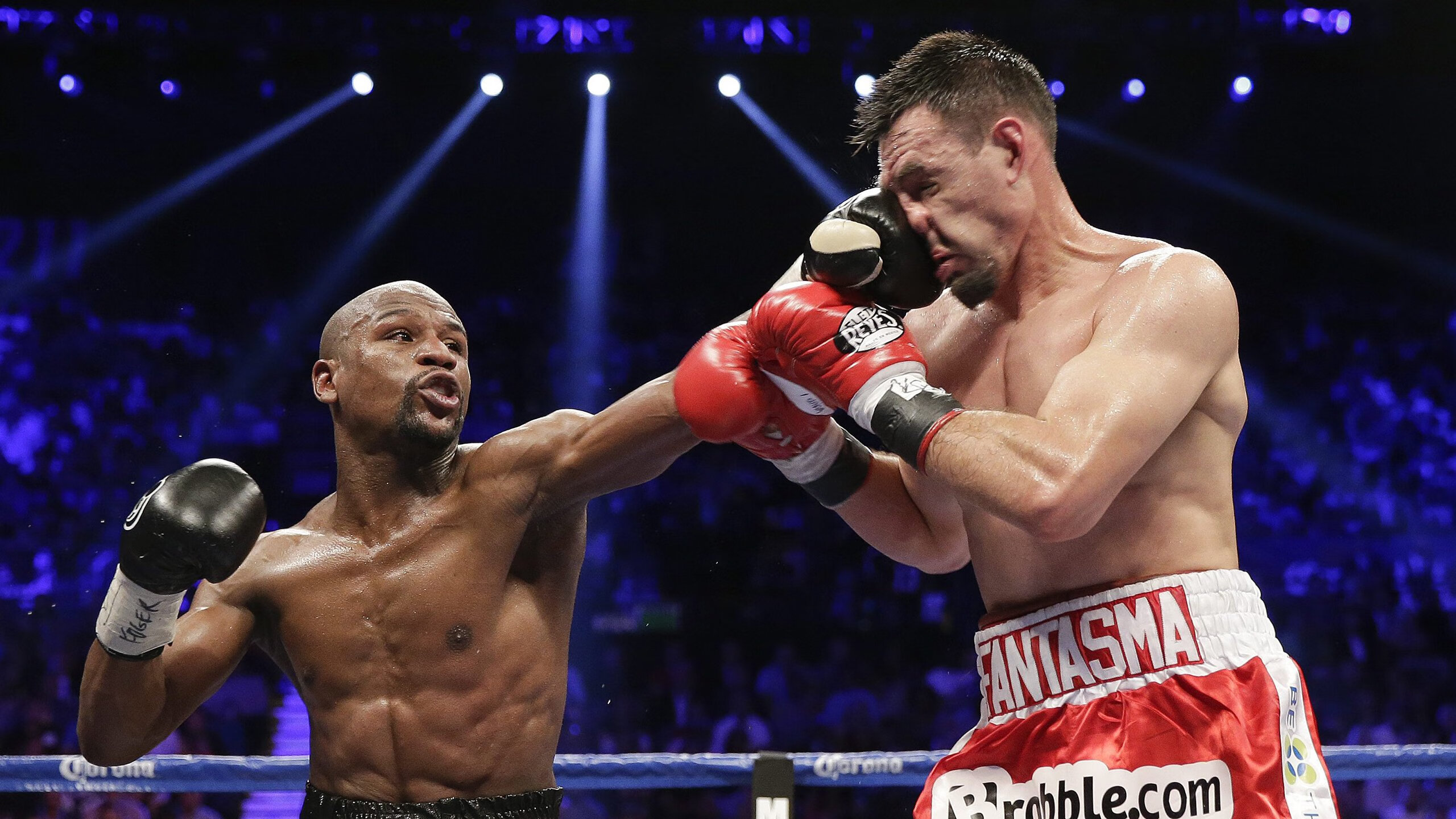 _豪华明星表演赛：娱乐与专业结合的新体验_，明星表演类节目